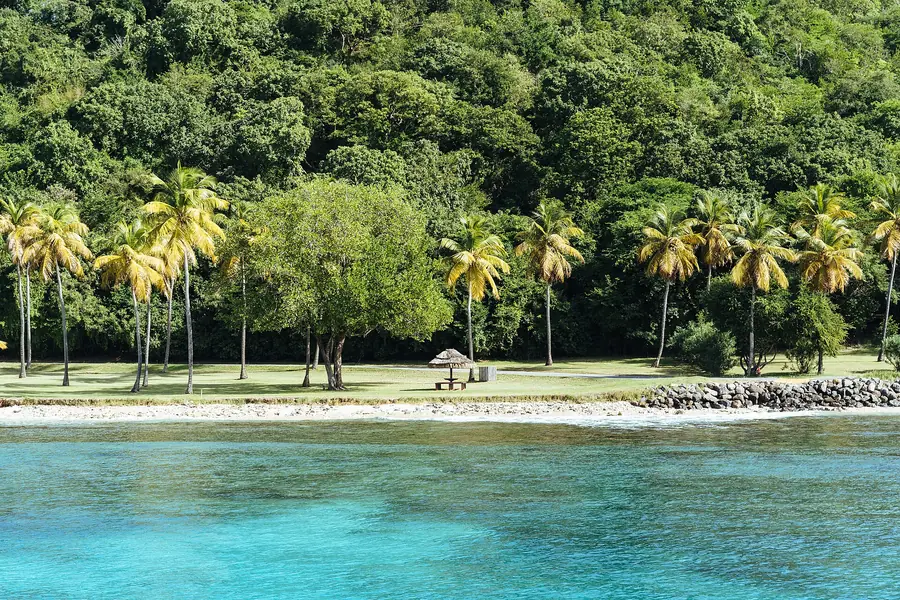 Palms lean over a quiet white beach and turquoise shallows on the western side of Mustique