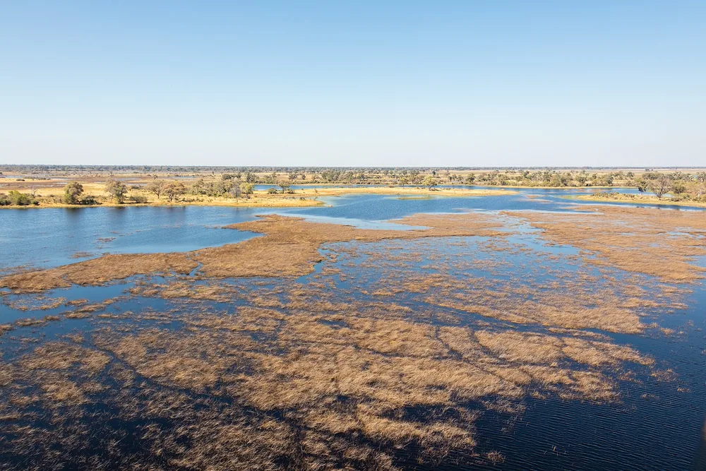 The Okavango Delta from the air: blue channels winding through golden reed beds and islands
