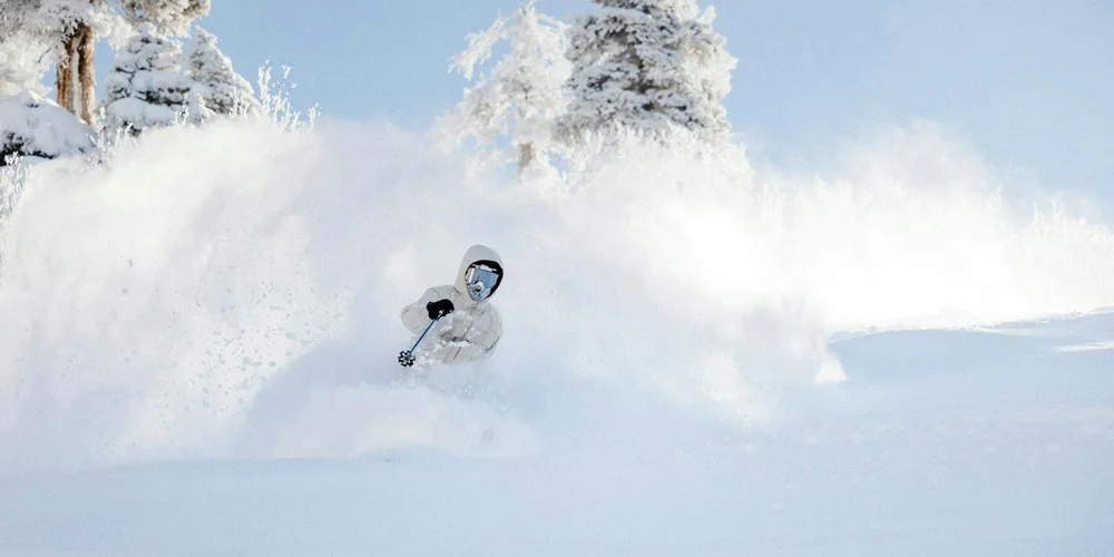 A skier sends up a plume of deep powder among snow-covered trees