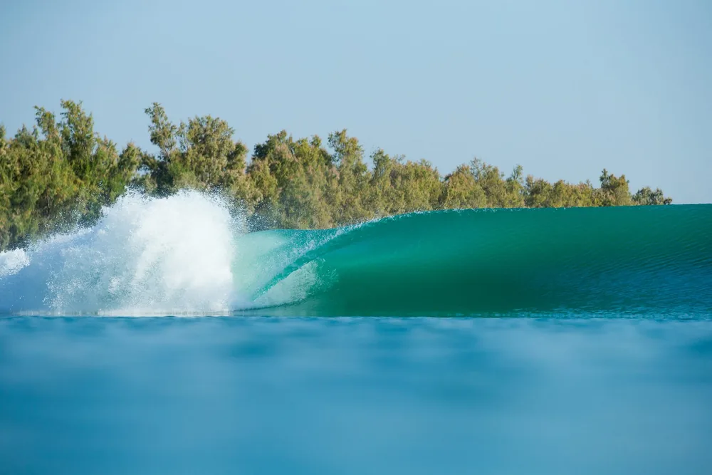 A long, clean wave peels along a tree-lined pool at the Surf Ranch